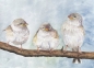 Preview: Postkarte DIN-A6  Aquarell Kunst Druck Kunstdruck Spatz Vogel Frühling Vögel Ast Spatzen